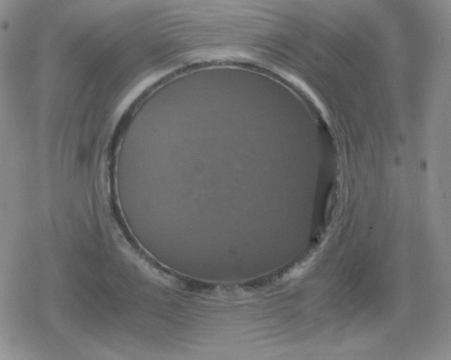 X0000079320983200612081930