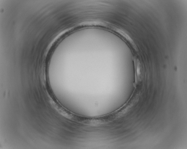 X0000079320984200612081930