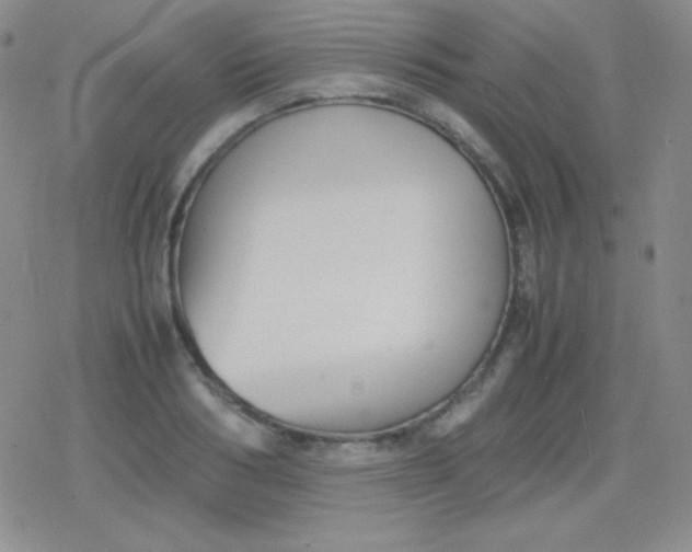 X0000079320986200612081930