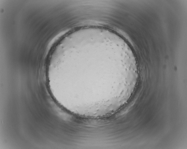 X0000079320987200612081930