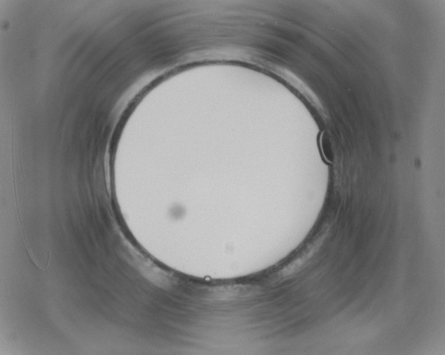 X0000079320988200612081930