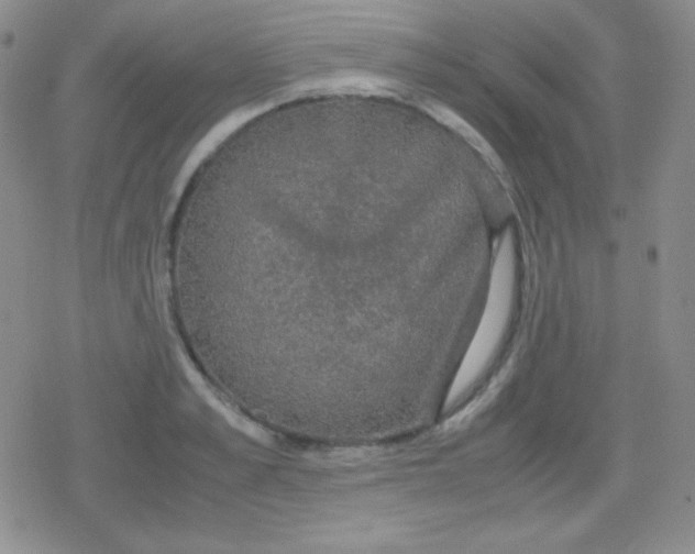 X0000079320989200612081930