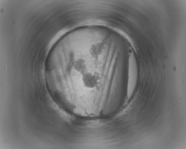 X0000079320990200612081930