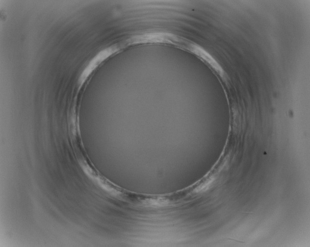 X0000079320994200612081929