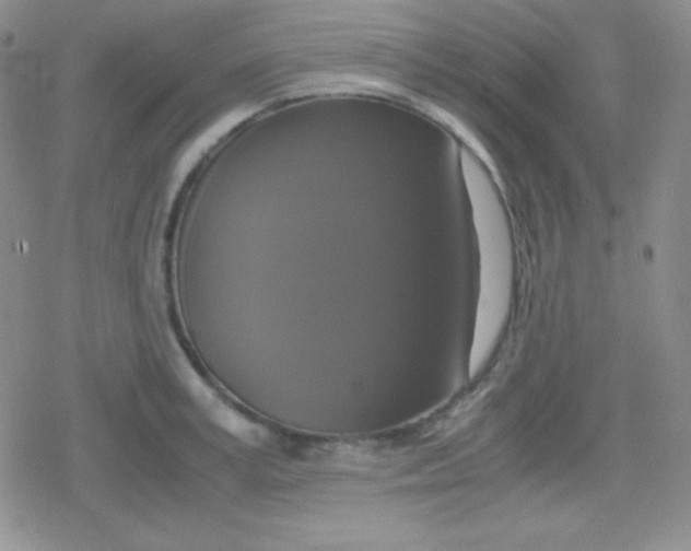 X0000079320995200612081929