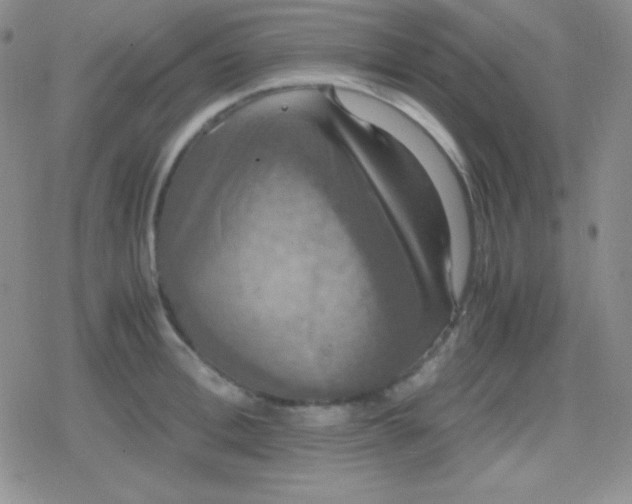 X0000079320996200612081929