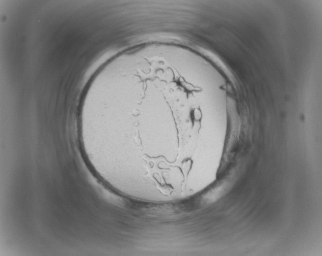 X0000079320999200612081929