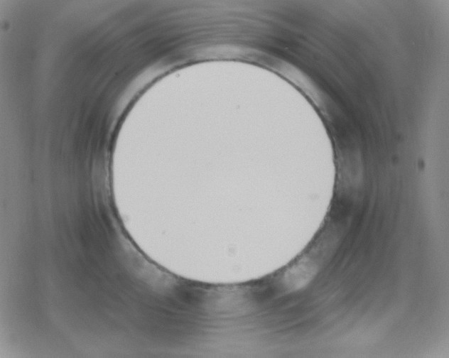 X0000079321000200612081929