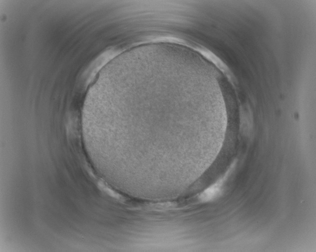 X0000079321001200612081929