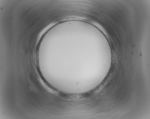 X0000079321003200612081929