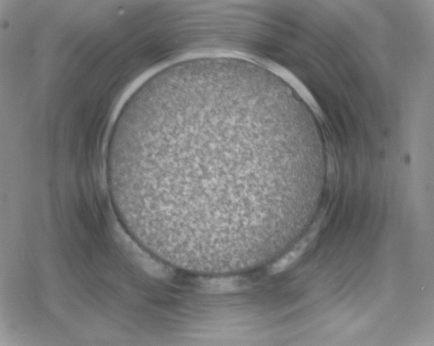 X0000079321004200612081929