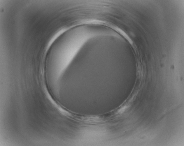 X0000079321007200612081929