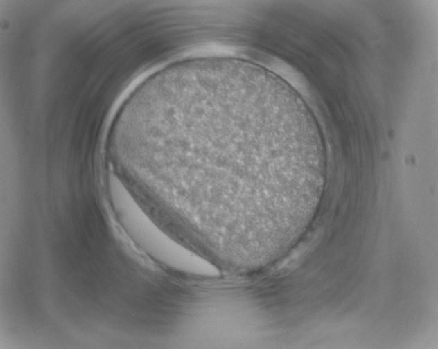 X0000079321008200612081929