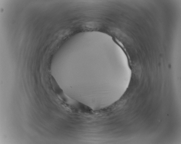 X0000079321009200612081928