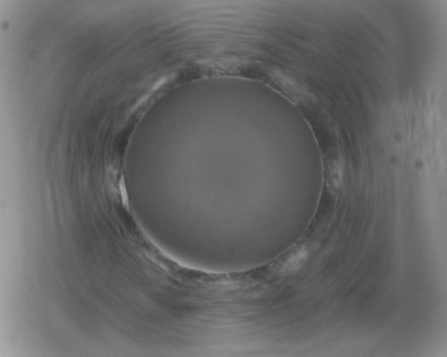 X0000079321010200612081928