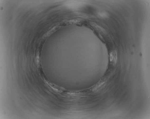 X0000079321011200612081929