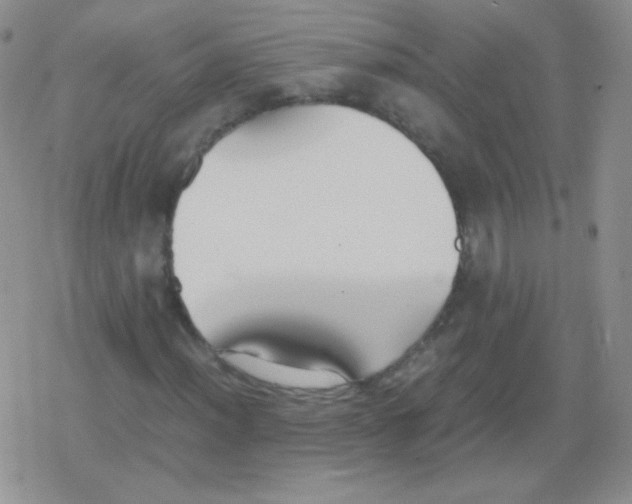 X0000079321012200612081929