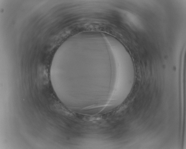 X0000079321013200612081929