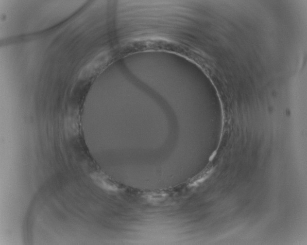 X0000079321014200612081929