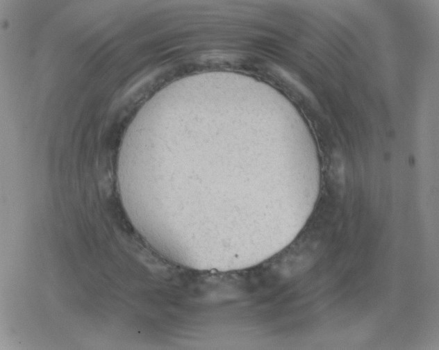 X0000079321015200612081929