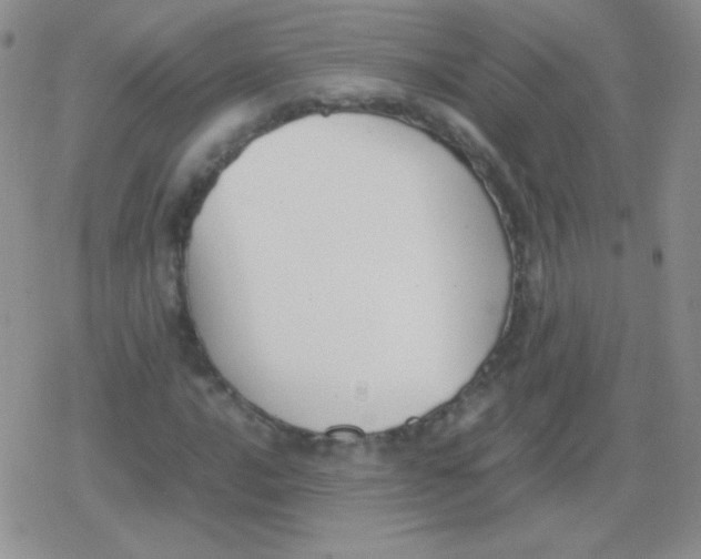 X0000079321016200612081929