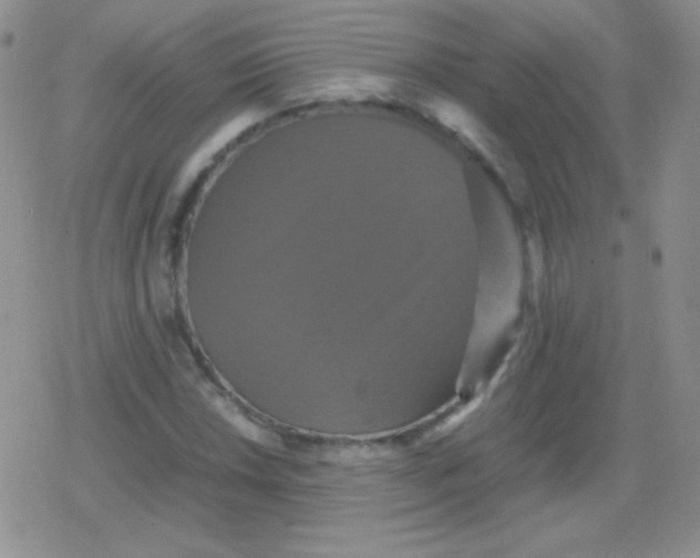 X0000079321018200612081929