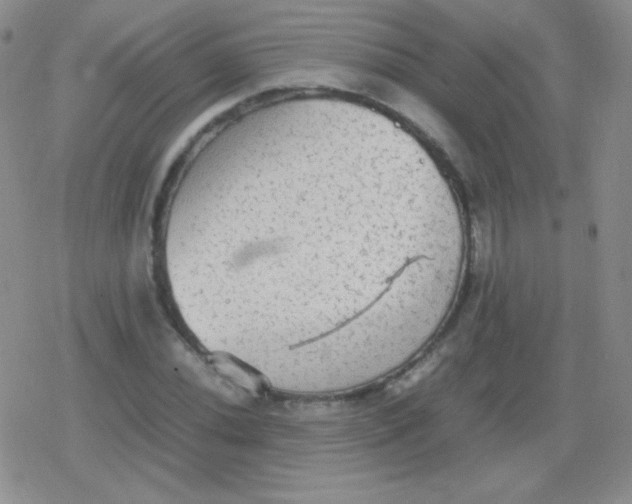 X0000079321020200612081929