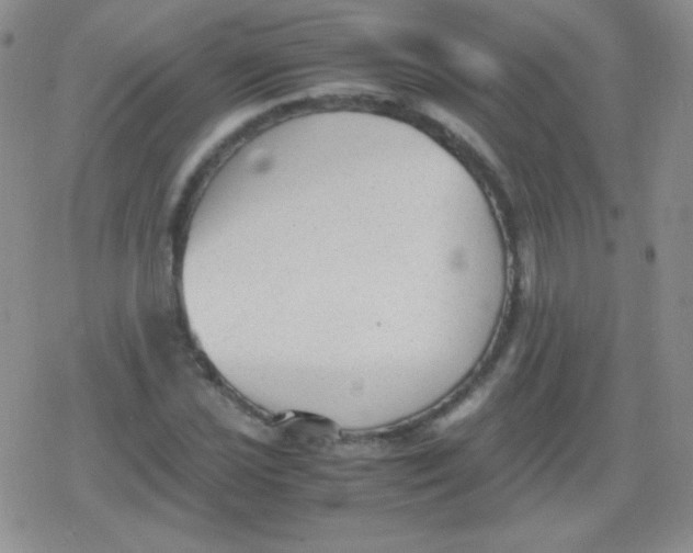 X0000079321021200612081929