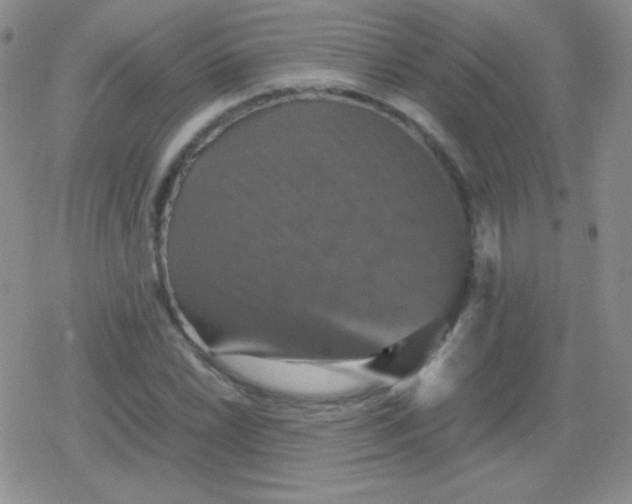 X0000079321022200612081929