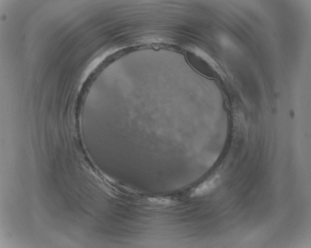 X0000079321023200612081929