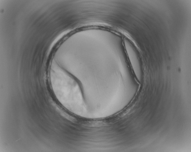 X0000079321024200612081929