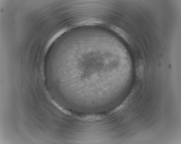 X0000079321026200612081929