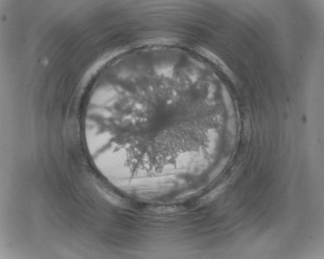 X0000079321027200612081929