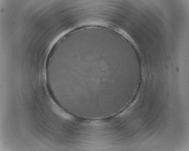 X0000079321028200612081929