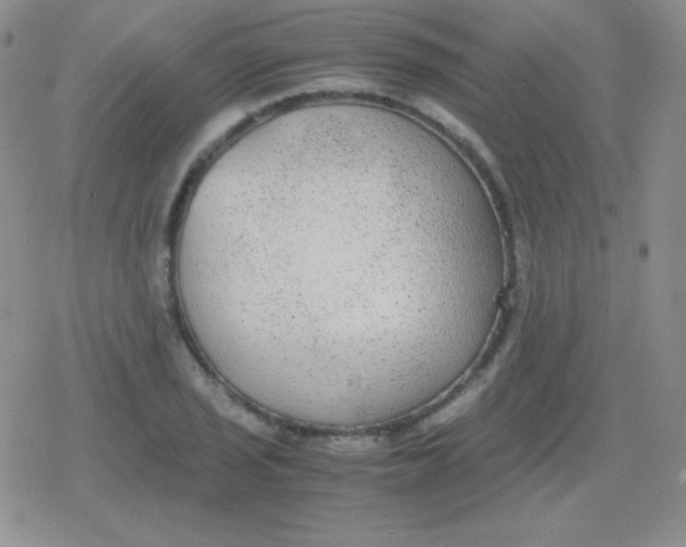 X0000079321029200612081929