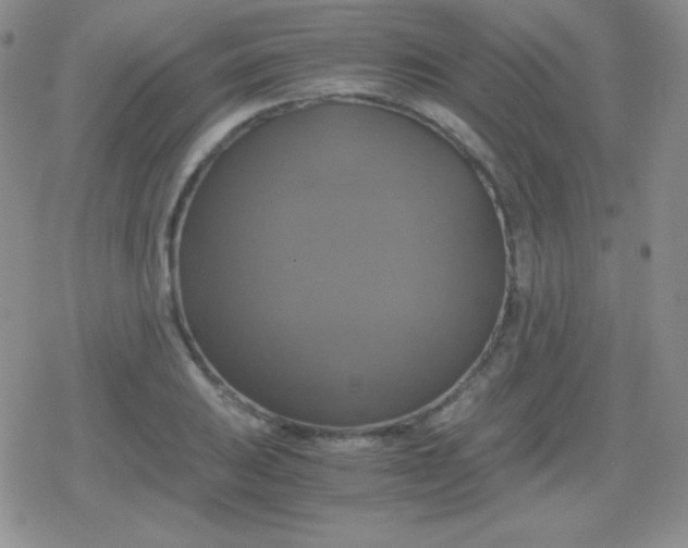 X0000079321031200612081929