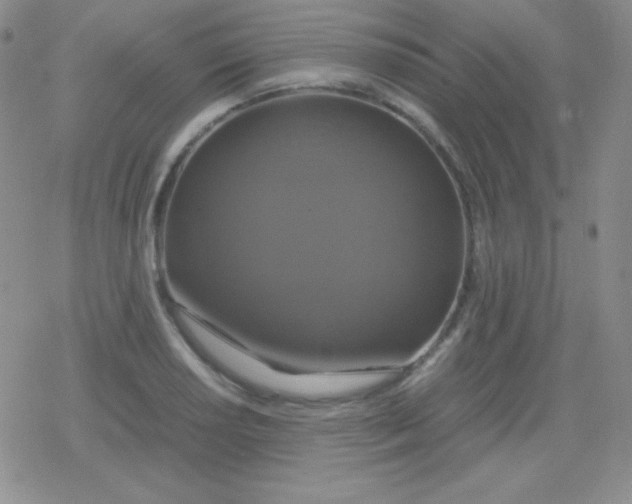 X0000079321034200612081929