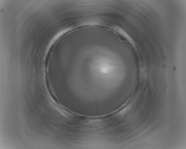 X0000079321035200612081929