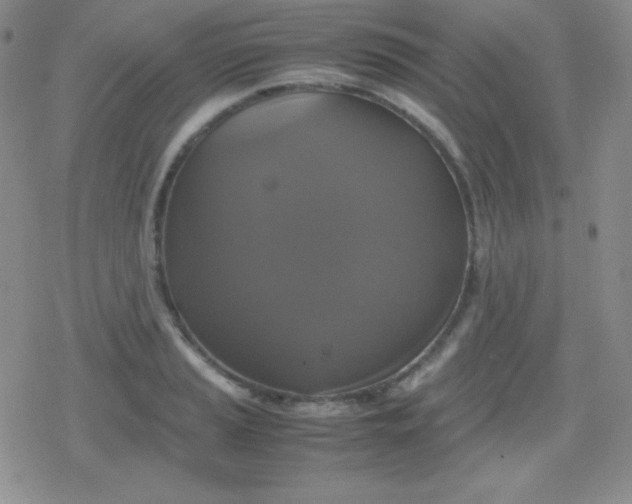 X0000079321037200612081929