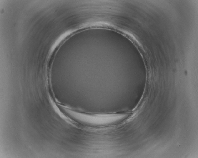 X0000079321038200612081929