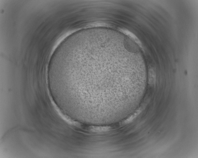 X0000079321039200612081929