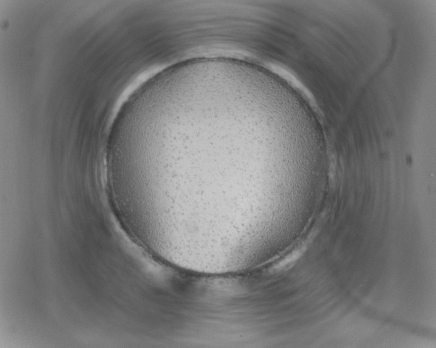 X0000079321040200612081929