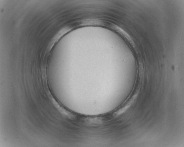 X0000079321041200612081929