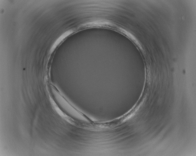 X0000079321042200612081929