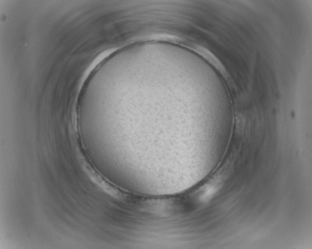 X0000079321044200612081929