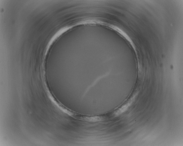 X0000079321045200612081929