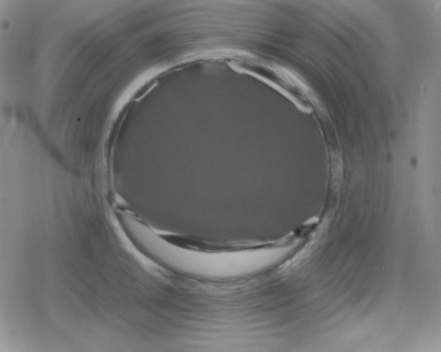 X0000079321046200612081929