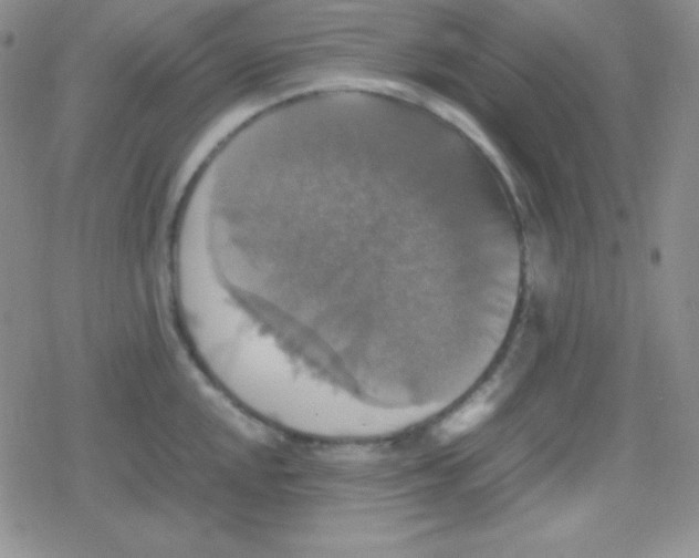 X0000079321048200612081929