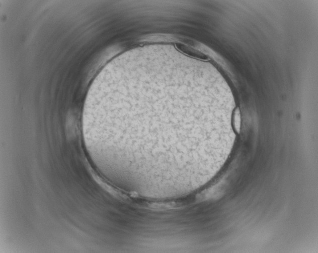 X0000079321049200612081929