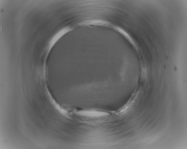 X0000079321050200612081929